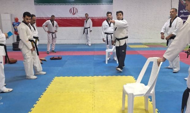 کلاس داوری تکواندو کشوری در استان هرمزگان با تدریس جوان بوشهری برگزار شد کلاس داوری تکواندو کشوری در استان هرمزگان با تدریس جوان بوشهری برگزار شد