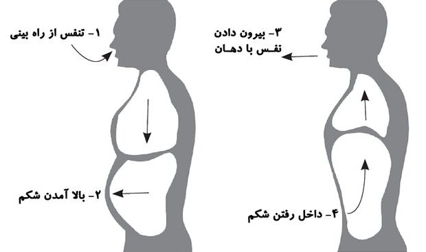 آشنایی با حرکات اصلاحی تنفس دیافراگمی آشنایی با حرکات اصلاحی تنفس دیافراگمی