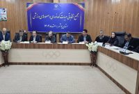 فدراسیون کوهنوردی مهیای رقابت‌های آسیایی و المپیک می‌شود
