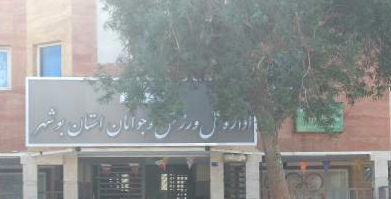 رقابت جدی ۴ گزینه برای تصاحب صندلی سکانداری ورزش استان بوشهر رقابت جدی ۴ گزینه برای تصاحب صندلی سکانداری ورزش استان بوشهر