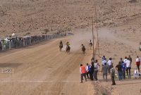 رقابت سوارکاران شهرستان‌های جنوب کشور در گراش